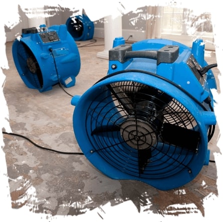 Team professionale Stop Allagamenti durante intervento anti muffa Bellinzona Ticino